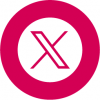 icono x